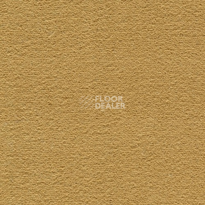 Ковролин Creatuft Sheba 1090 Gold 4+5m фото 1 | FLOORDEALER